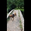 thumbnail so full of energy
