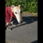 thumbnail Morning Stroll